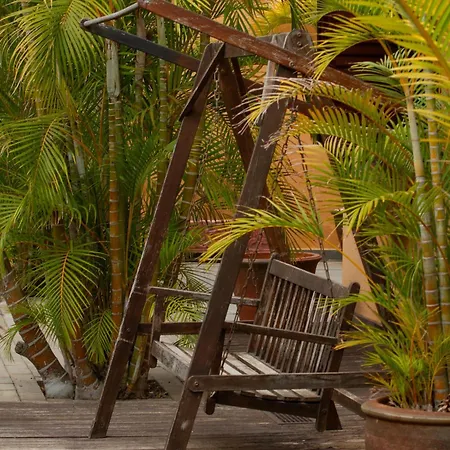 Jardin De Buda Villa Arona (Tenerife)