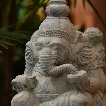 Jardín De Buda * Arona (Tenerife)