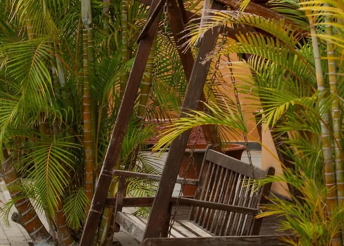 Jardin De Buda Villa Arona (Tenerife)