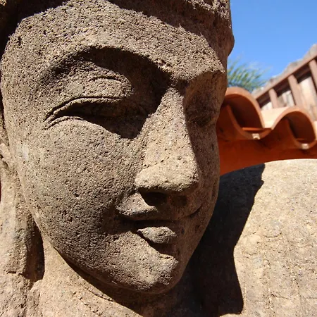 Jardin De Buda فيلة