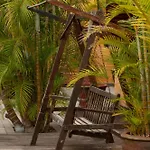 Jardin De Buda Vila Arona (Tenerife)